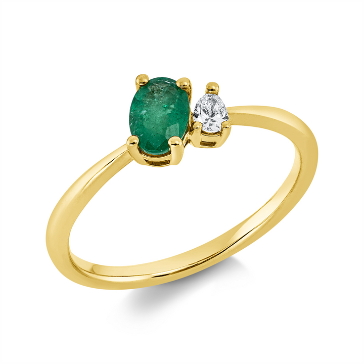 Farbstein Classic Ring - 1GX41