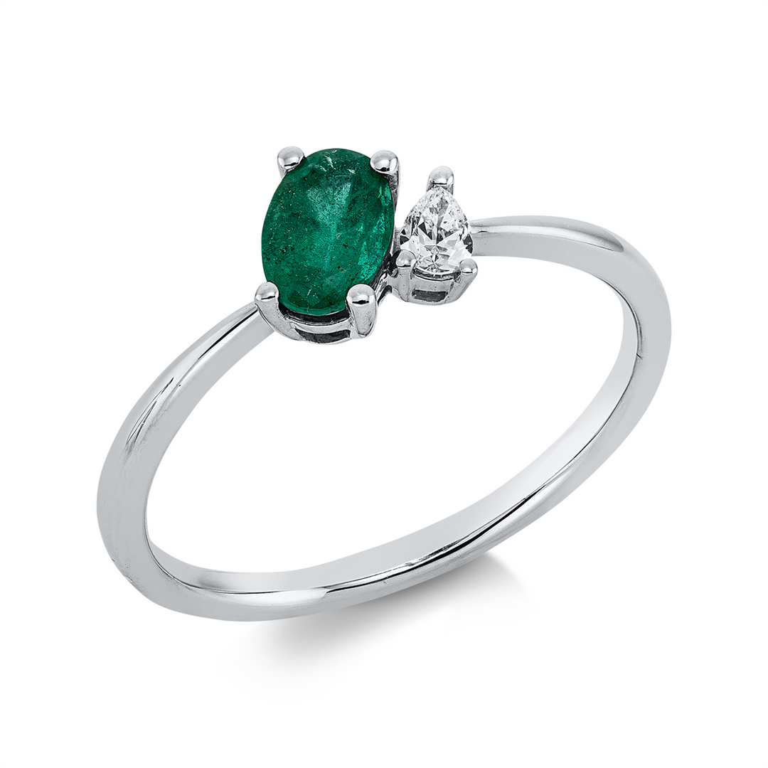 Farbstein Classic Ring - 1GX41