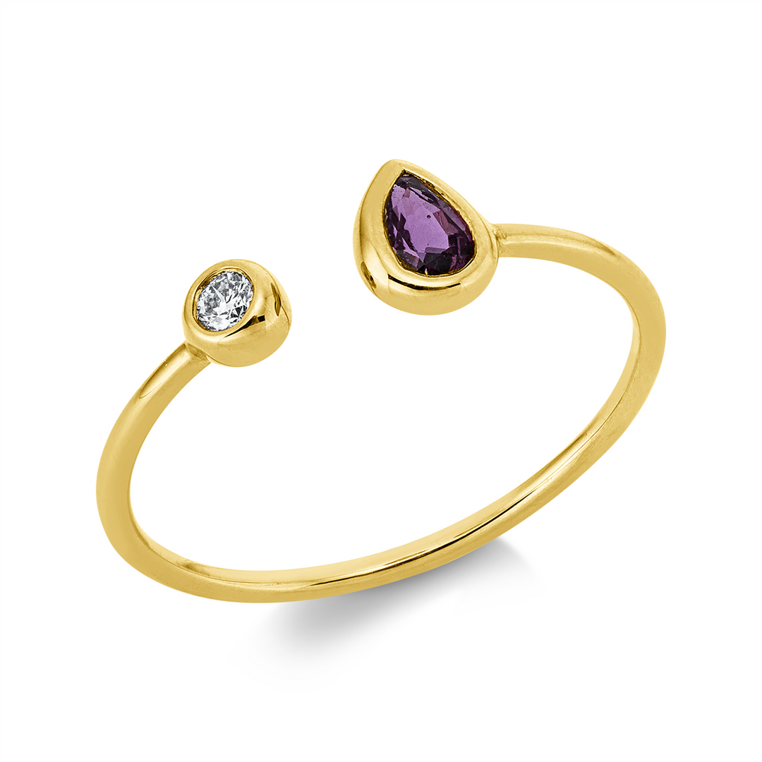 Farbstein Classic Ring - 1IL56