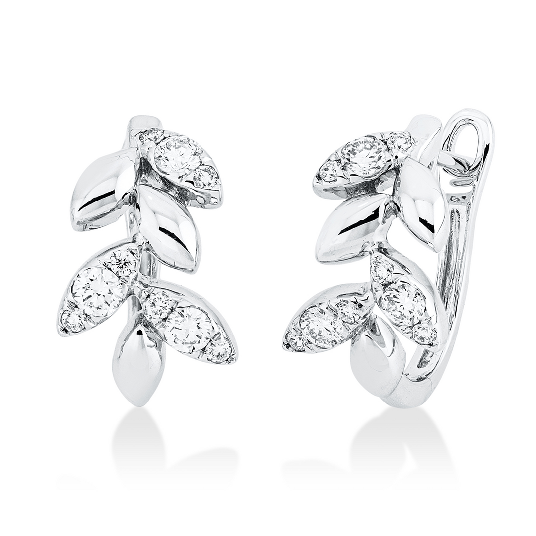 Modern Woman Creolen - 2W889