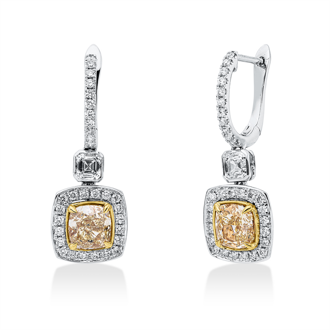 Farbiger Diamant Ohrschmuck - 2Y609